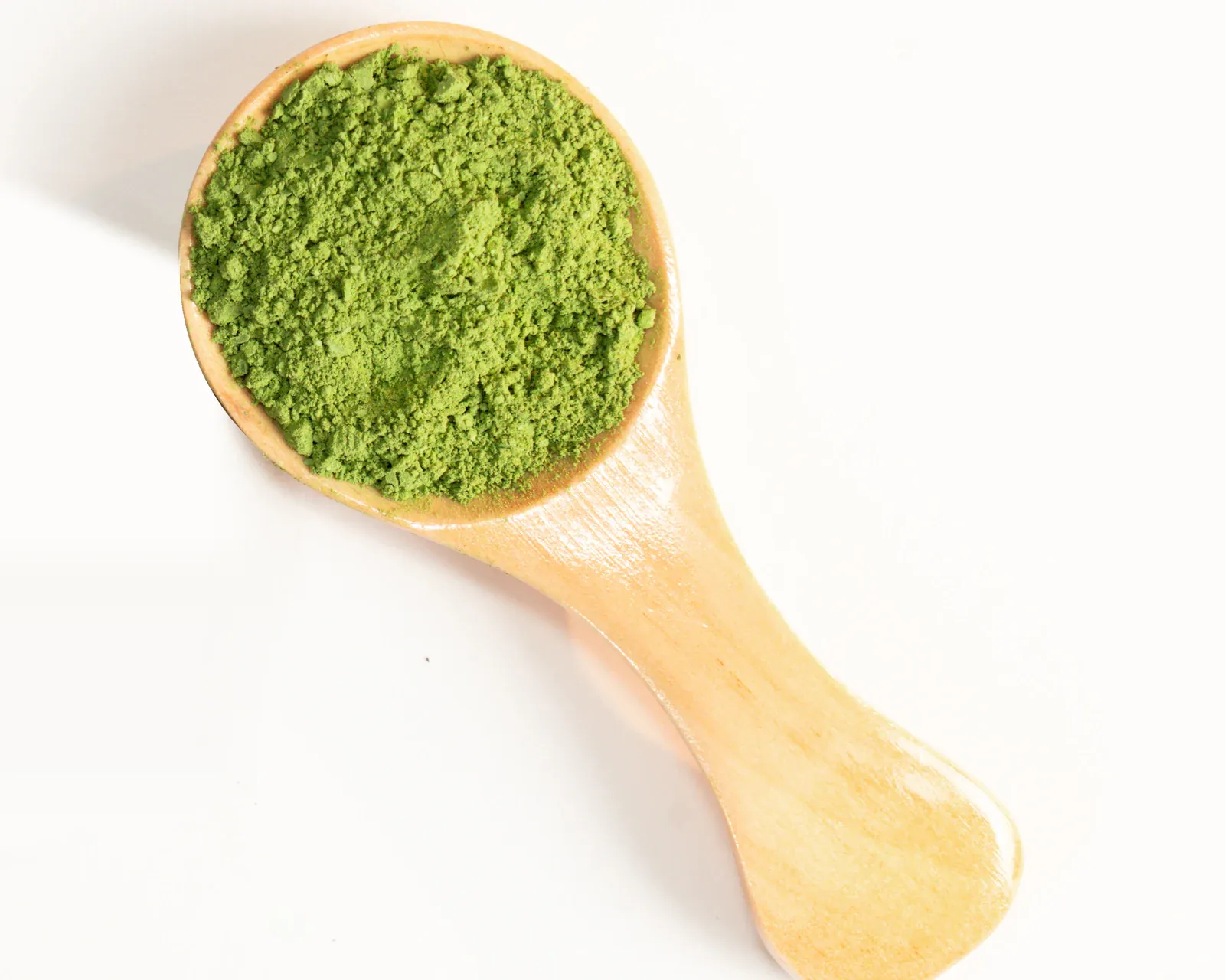 Matcha powder in a wooden spoon